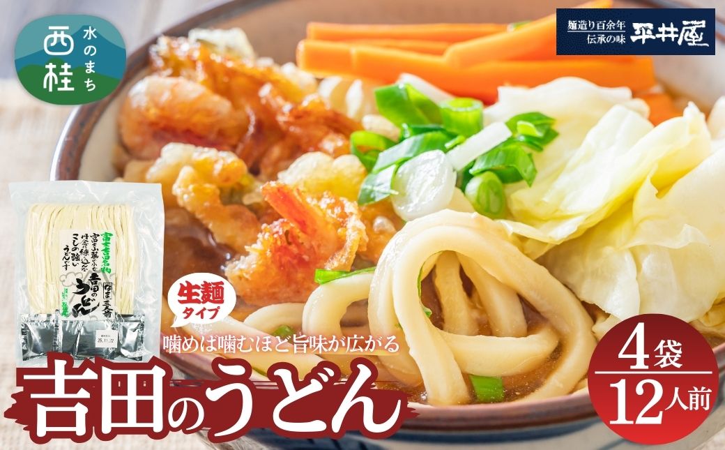 [訳あり]吉田のうどん 12人前　( 3人前平袋×4パック） 富士山麓の水で練り上げたコシの強いうどん ／ セット 饂飩 乱切り麺 硬め 太麺 半生麺 山梨県 特産品【n0355_hir_B】 4袋