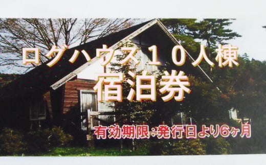 No.370 ログハウス10人棟宿泊券 ／ 宿泊チケット アウトドア ロフト付き 貸切 山梨県【n0370_grn_A】