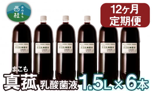 【定期便】真菰（まこも）乳酸菌液　1.5L×6本　12ヶ月定期便 ／ マコモ 無農薬栽培 山梨県【n0511-12_nyu】