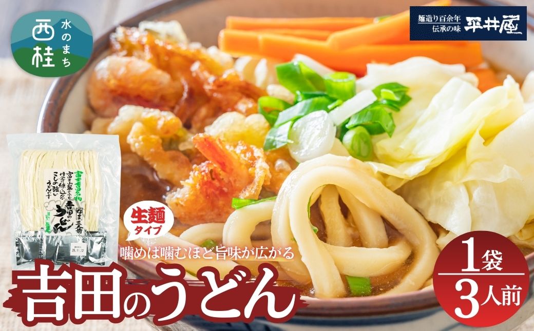 [訳あり]吉田のうどん 3人前　( 3人前平袋×1パック） 富士山麓の水で練り上げたコシの強いうどん ／ セット 饂飩 乱切り麺 硬め 太麺 半生麺 山梨県 特産品【n0626-01_hir】 1袋