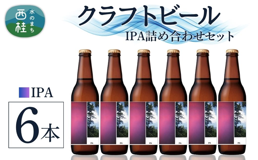 クラフトビール IPA 6本 セット / 瓶ビール ビール 地ビール エール 詰め合わせ 飲み比べ 家飲み おすすめ 人気 天然水 ギフト 贈り物 父の日 お歳暮 送料無料【n0658-06_tpm】