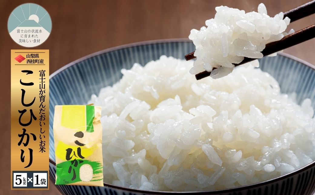 コシヒカリ 5キロ 1袋 / 国産 こしひかり  5キロ 令和7年 新米 米 お米 保存袋 生活必需品 ギフト 贈り物 お歳暮 ふるさと納税 送料無料【n0663-05_gou】