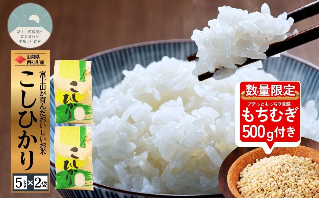 コシヒカリ 今だけ数量限定でもち麦500g付き！ 5キロ 2袋 / 国産 こしひかり  10キロ 令和7年 新米 米 お米 保存袋 生活必需品 ギフト 贈り物 お歳暮 ふるさと納税 送料無料【n0663-10_gou】
