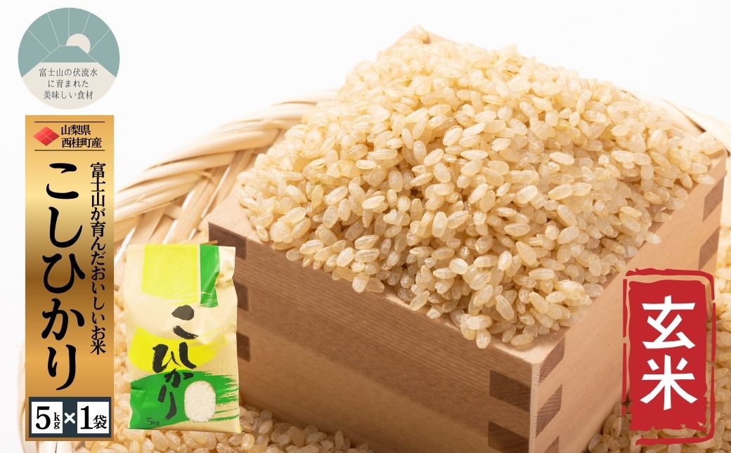 コシヒカリ【玄米】 5キロ 1袋 / 国産 こしひかり  5キロ 令和7年産 米 お米 保存袋 生活必需品 ギフト 贈り物 お歳暮 ふるさと納税 送料無料【n0668-05_gou】