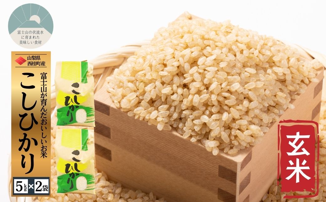 コシヒカリ【玄米】 5キロ 2袋 / 国産 こしひかり  10キロ 令和7年産 米 お米 保存袋 生活必需品 ギフト 贈り物 お歳暮 ふるさと納税 送料無料【n0668-10_gou】