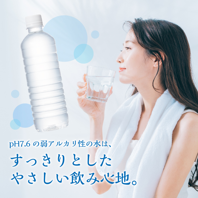 【6ヶ月定期便】富士山蒼天の水 500ml×48本（2ケース）ラベルレス