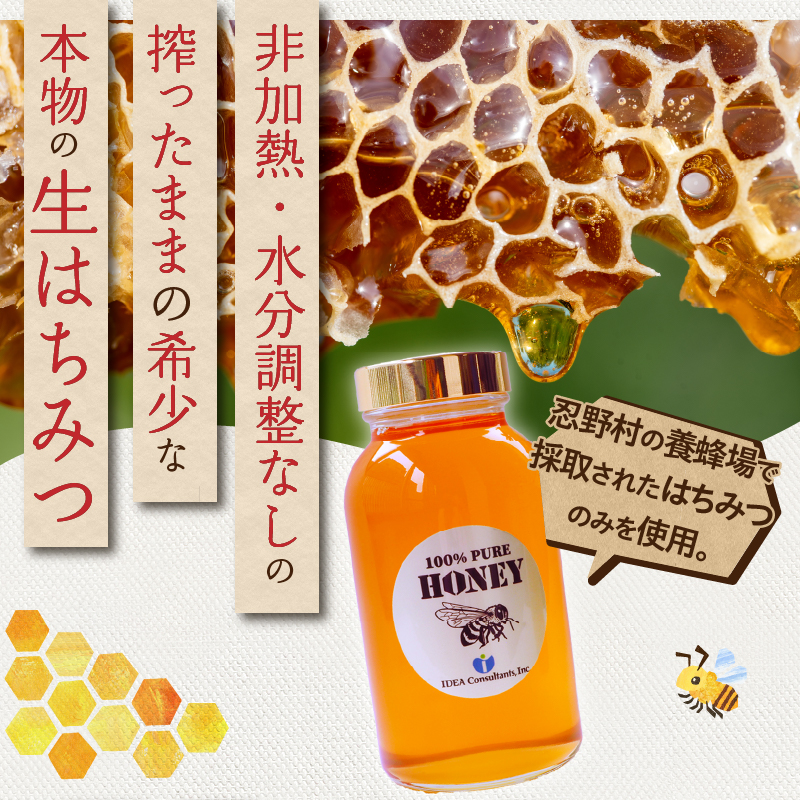 忍野村産　はちみつ大　670g　【近々2025年産新商品リリース予定】