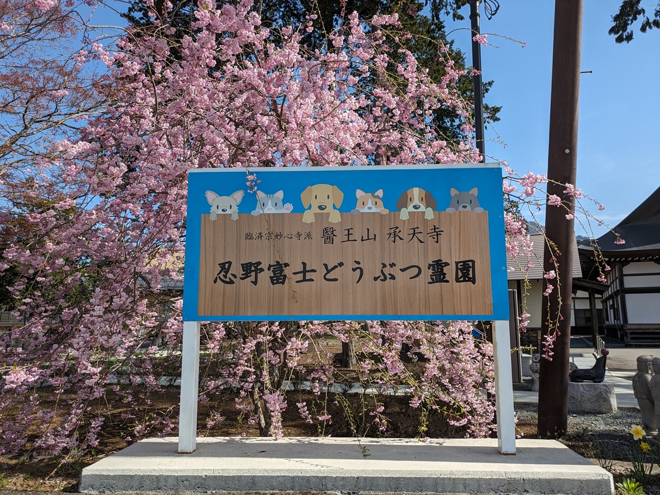 承天寺　忍野富士どうぶつ霊園単独墓