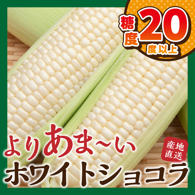 【2026年先行予約】富士北麓忍野村の気候、水、自然で作られた朝採りトウモロコシ（ホワイトショコラ）約5kg