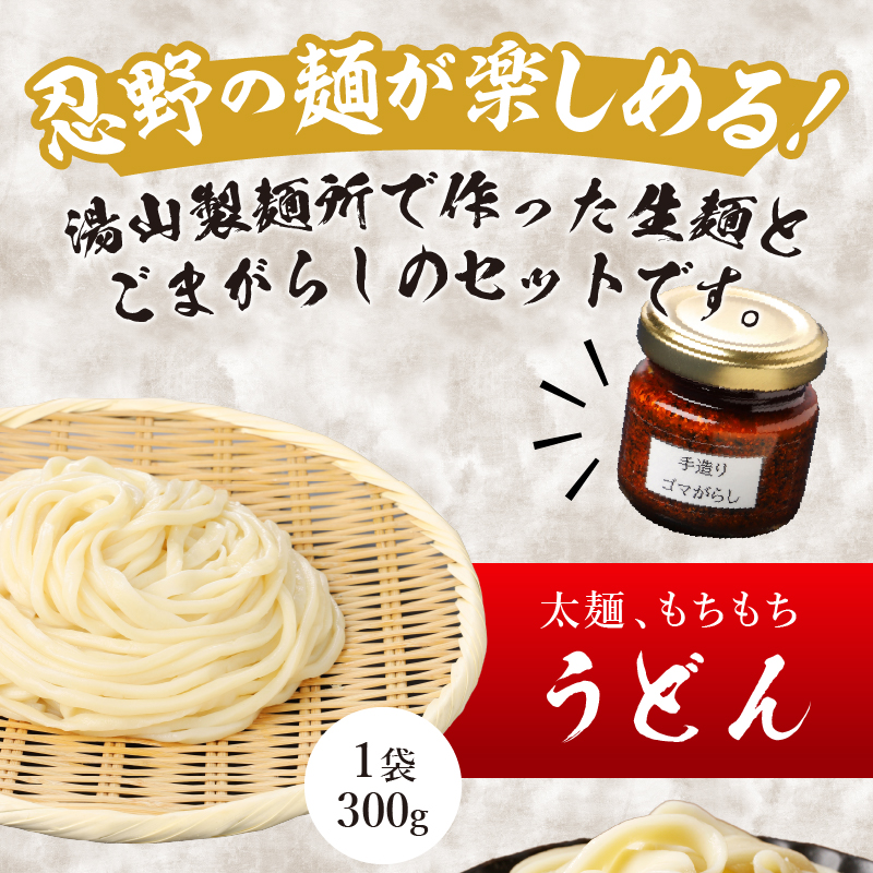 ＼年内発送／富士山の流水で作る「忍野の生麺3セット（そば・うどん・ほうとう）」約26人前+ごまがらし1瓶