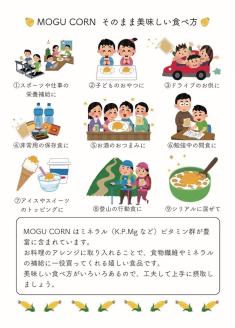 MOGU CORN 詰め合わせ（ばら３袋）