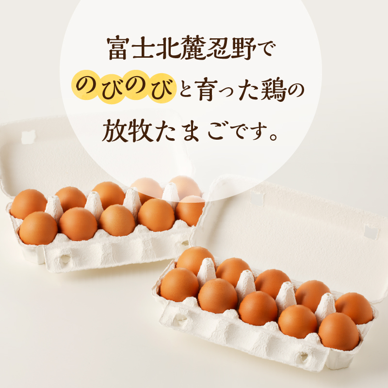 【6月配送分】忍野の平飼い放牧卵30個（25個＋割れ保証5個）