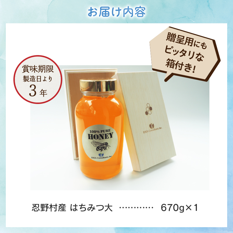 忍野村産　はちみつ大　670g　【近々2025年産新商品リリース予定】