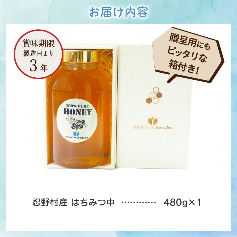 忍野村産　はちみつ中　480g　【近々2025年産新商品リリース予定】