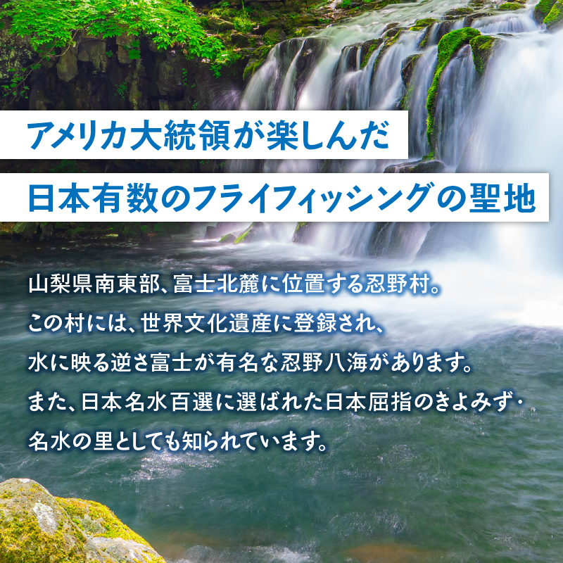 漁業券大人（中学生、女性、70歳以上）（年間券）