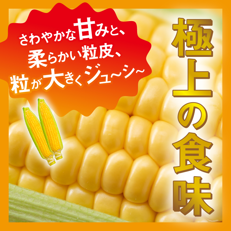 【2026年先行予約】富士北麓忍野村の気候、水、自然で作られた朝採りトウモロコシ【ゴールドラッシュ】約2.5kg