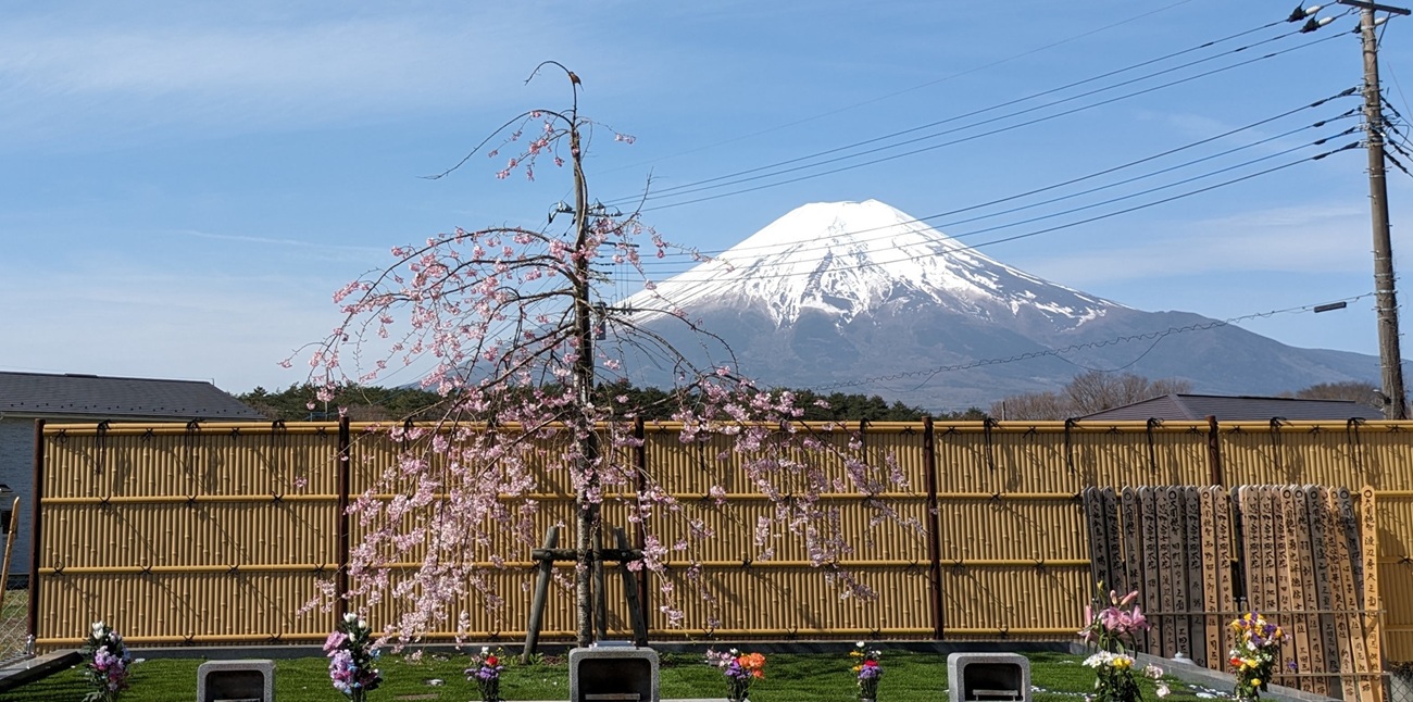 承天寺　忍野富士樹木葬永代供養