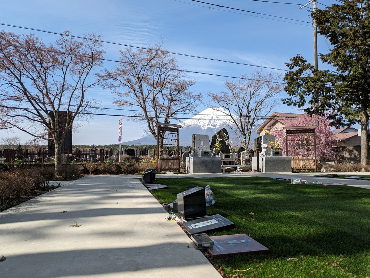 承天寺　忍野富士どうぶつ霊園単独墓