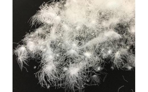 羽毛布団（抗菌加工）　スーパーマイクロ　超軽量素材　クイーン（２２０ｃm×２１０ｃｍ）