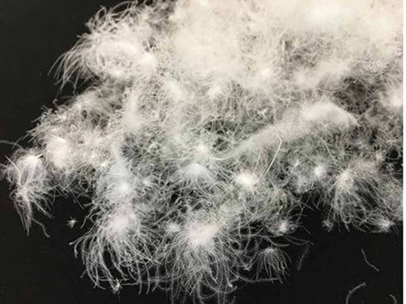 【シングル】羽毛布団　ハイパーダウン　１５０ｃm×２１０ｃm（羽毛ふとん）