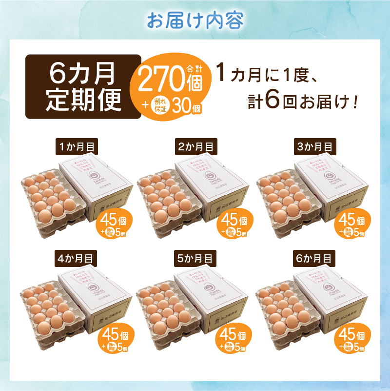【6ヶ月定期便】”忍野の卵”旨味のピンク玉　※卵45個+割れ保証5個　計300個