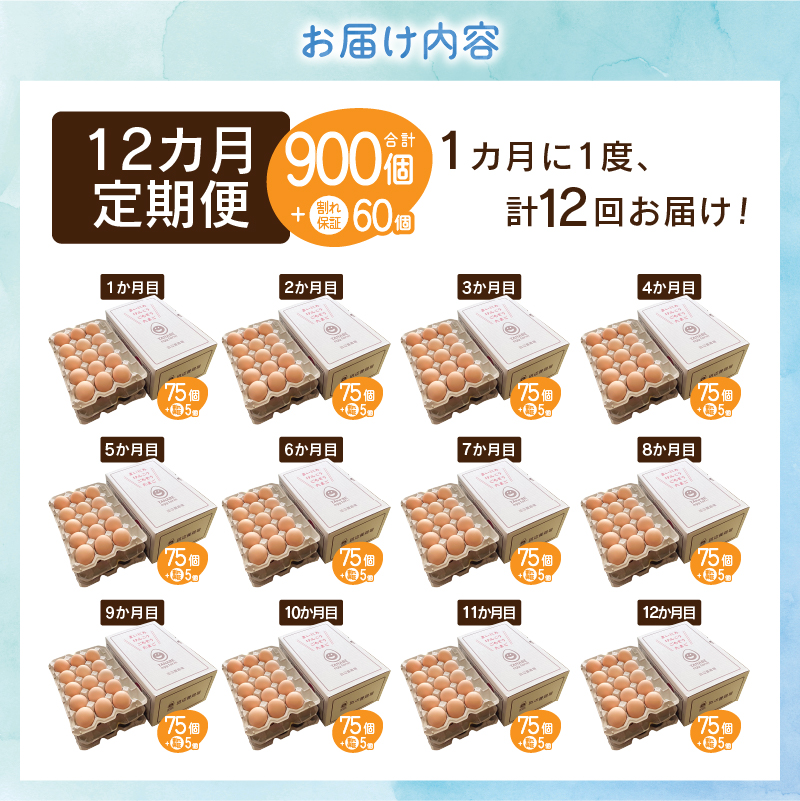 【12ヶ月定期便】”忍野の卵”旨味のピンク玉　※卵75個+割れ保証5個　計960個