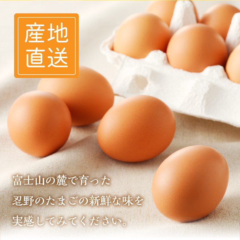 【5月配送分】忍野の平飼い放牧卵30個（25個＋割れ保証5個）