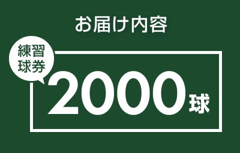 鐘山ゴルフセンター練習球券（2000球券）