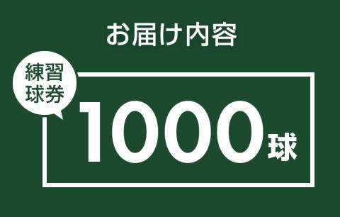 鐘山ゴルフセンター練習球券（1000球券）