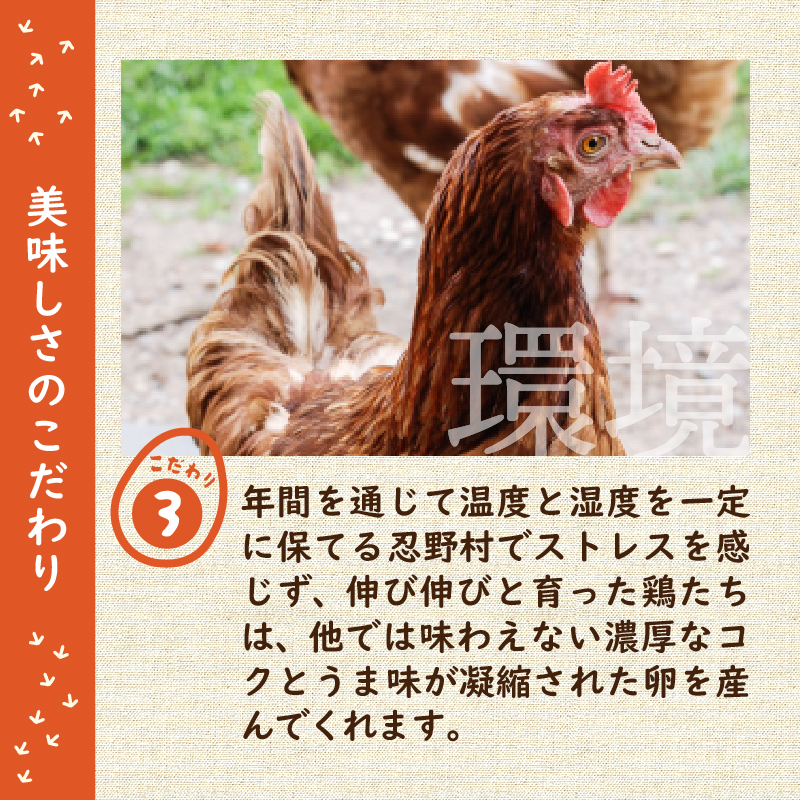 ”忍野の卵”旨味のピンク玉※卵15個+割れ保証5個　計20個