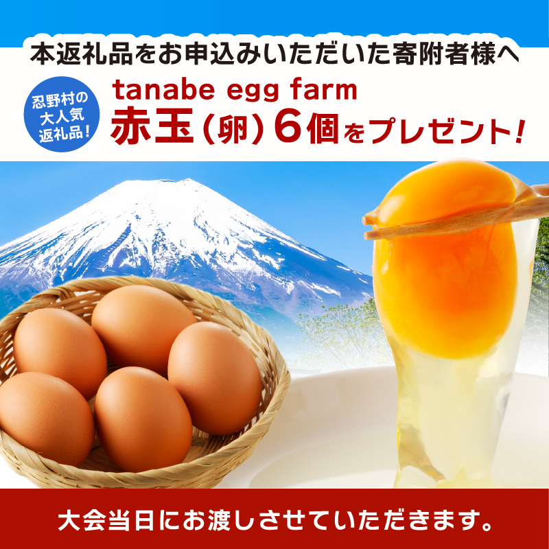 富士忍野高原トレイルレース（ロング）参加券