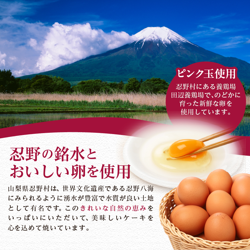 リンゴぎっしりアップルパイ