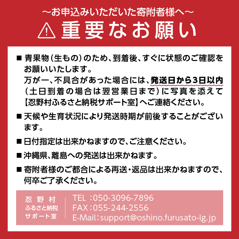 【2026年先行予約】富士北麓忍野村の気候、水、自然で作られた朝採りトウモロコシ【ピーターコーン】 約2.5kg