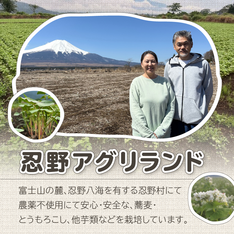 [生冷凍麺] 忍野二八そば 260g×4袋 計1040g ★純国産★国内産原材料のみ使用★山梨県産そば粉8割　長野県産小麦粉2割　使用★