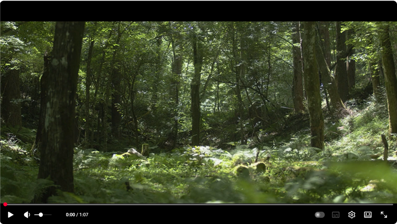 忍野村産　いであプレミアム・ハニー HOKUSAI【富士黄金 270g】