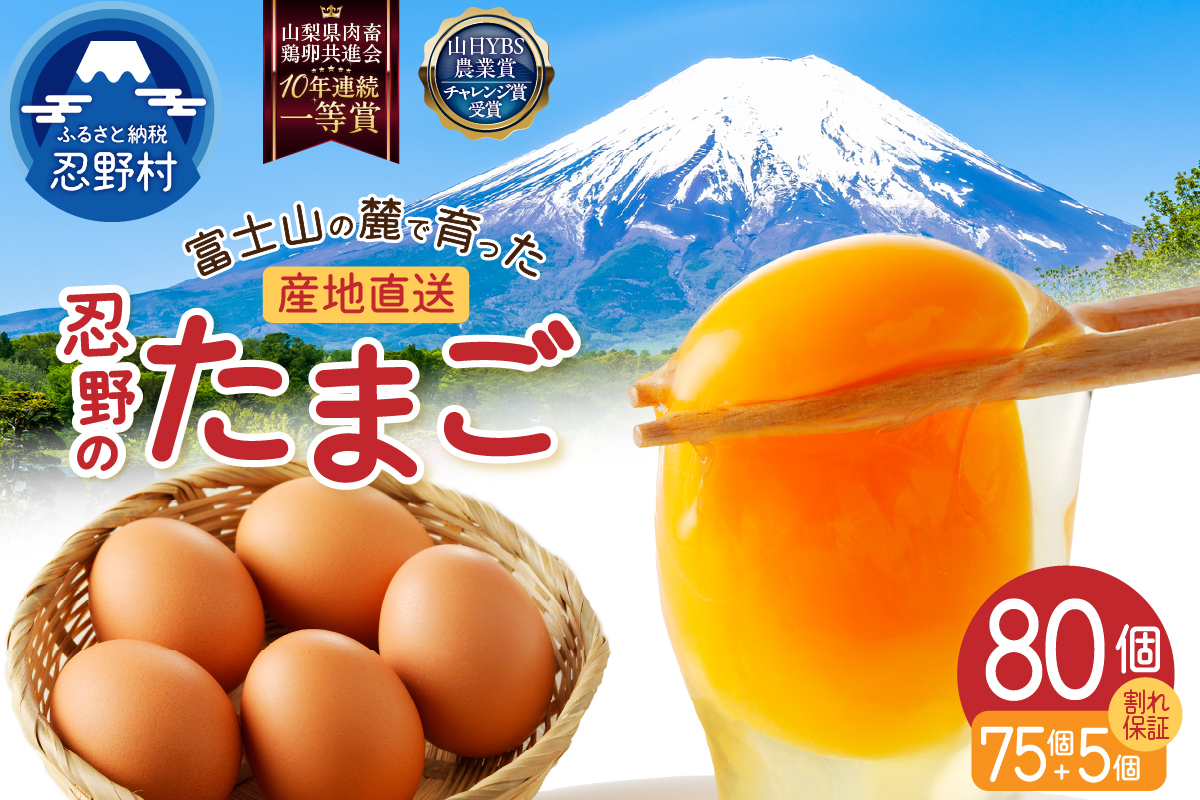 【3月配送分】富士山の麓で育った産地直送 ”忍野の卵”※卵75個+割れ保証5個　計80個