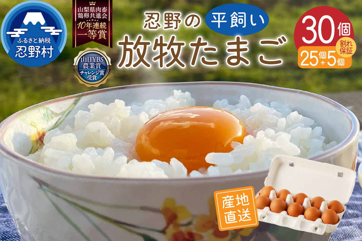 【5月配送分】忍野の平飼い放牧卵30個（25個＋割れ保証5個）
