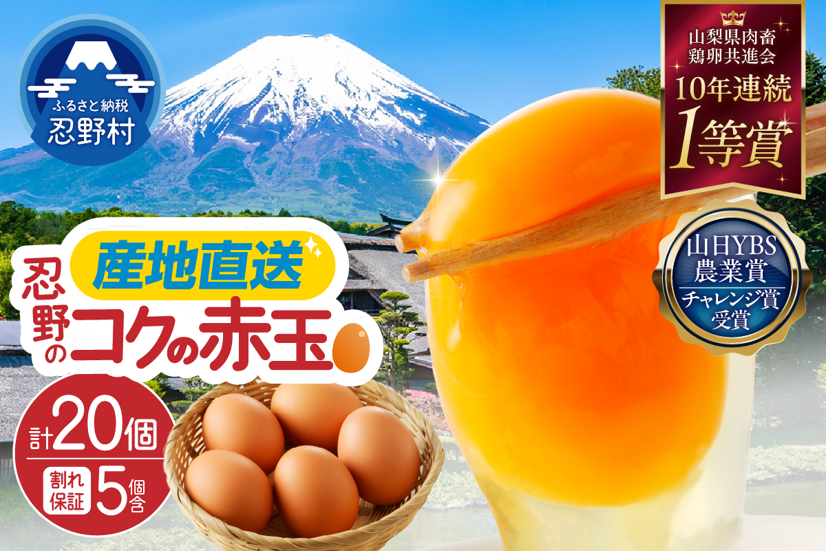 富士山の麓で育った産地直送 ”忍野の卵” ※卵15個+割れ保証5個　計20個