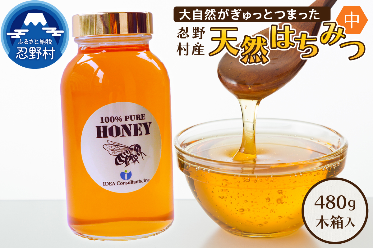 忍野村産　はちみつ中　480g　【近々2025年産新商品リリース予定】