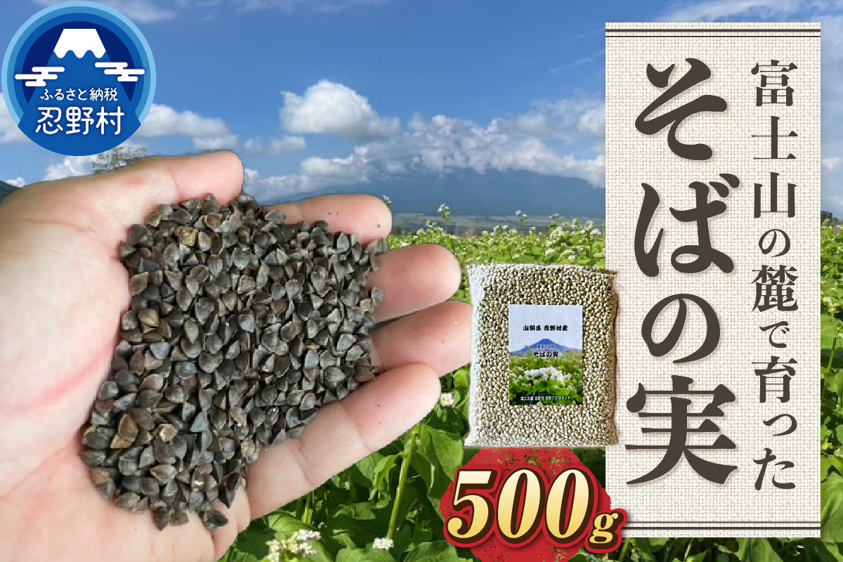 農薬不使用　富士北麓忍野村産そばの実　500g×1袋