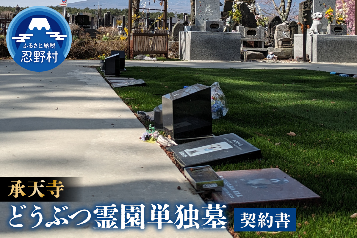 承天寺　忍野富士どうぶつ霊園単独墓