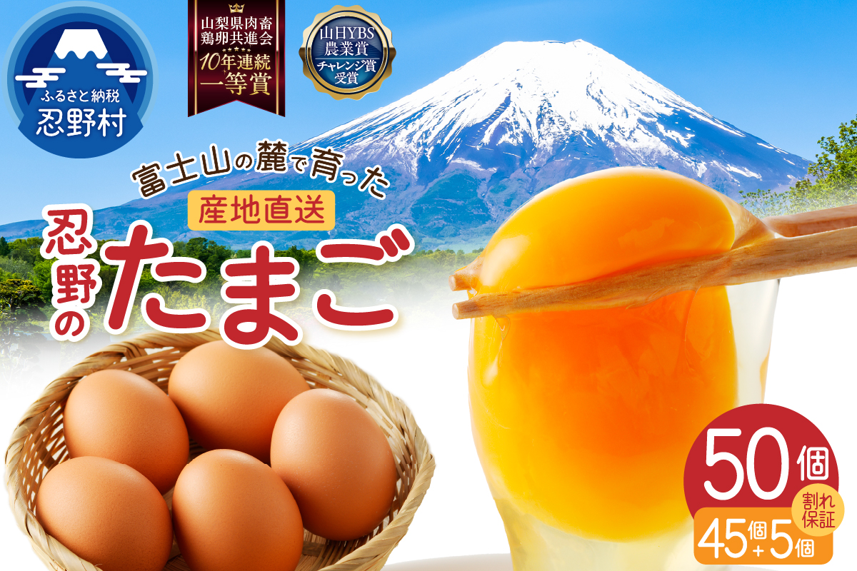 富士山の麓で育った産地直送 ”忍野の卵”※卵45個+割れ保証5個　計50個