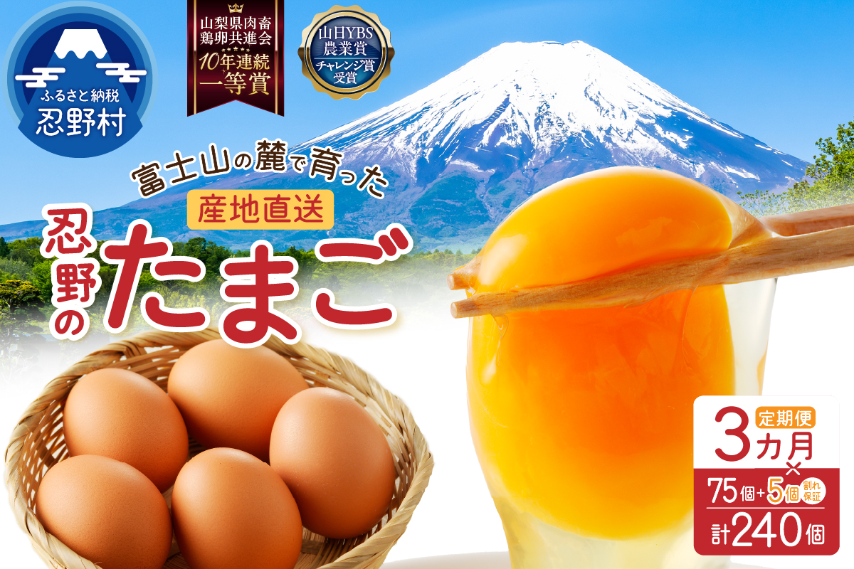 【3ヶ月定期便】富士山の麓で育った産地直送 ”忍野の卵”※卵75個+割れ保証5個　計240個