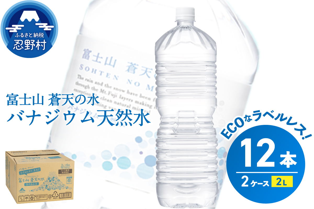 ふるさと納税 おいしい大垣の水（ペットボトル） 岐阜県大垣市 - ドリンク、水、お酒