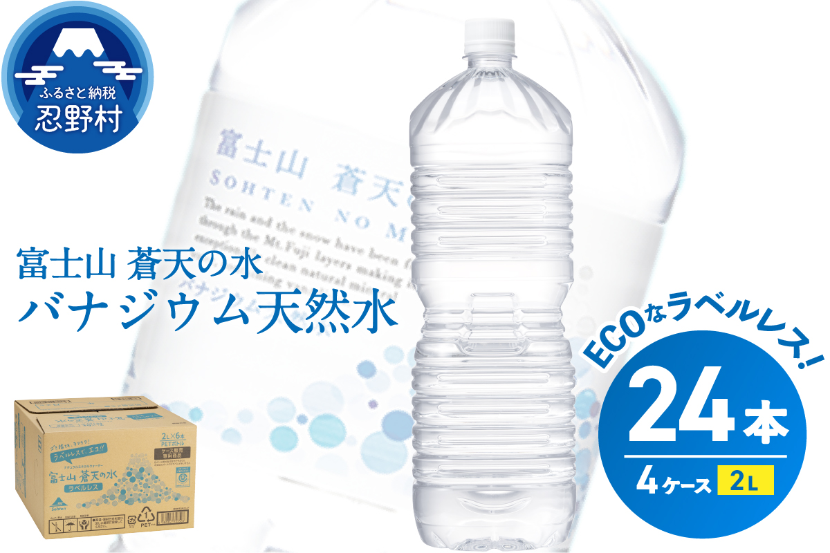 飲料（酒以外）/水ANAのふるさと納税