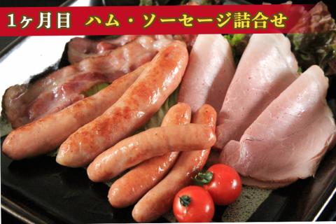 【山中湖ハム 定期便】1ヶ月目『ハム・ソーセージ詰合せ』2ヶ月目『山中湖ハムの手作りハム』 FAB024