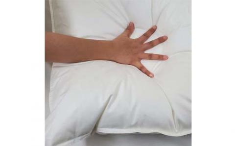 羽毛布団 シングル 羽毛掛け布団【ポーランド産マザーグース９５％】羽毛ふとん 羽毛掛けふとん ダウンパワー470 本掛け羽毛布団 本掛け羽毛掛け布団 寝具 冬用 羽毛布団 FAG085