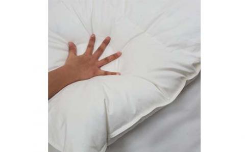 羽毛布団 シングル 羽毛掛け布団【ポーランド産マザーグース９３％】羽毛ふとん 羽毛掛けふとん ダウンパワー440 本掛け羽毛布団 本掛け羽毛掛け布団 寝具 冬用 羽毛布団 FAG083