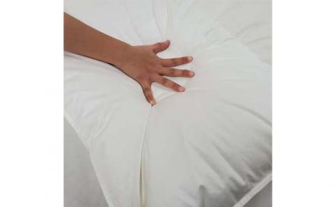 羽毛布団 シングル 羽毛掛け布団【イングランド産ホワイトダウン９３％】羽毛ふとん 羽毛掛けふとん ダウンパワー400 本掛け羽毛布団 本掛け羽毛掛け布団 寝具 冬用 羽毛布団 FAG075