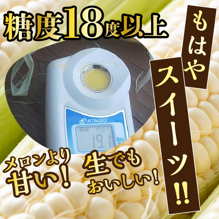 ＜26年発送先行予約＞一流リゾートホテル御用達☆糖度１８度を超えるとうもろこし富士恵味プレミアム６本 恵味ゴールド スイートコーン FAH002